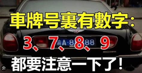 屬狗車牌|屬狗的車牌號碼吉祥數字，取”汪“諧音